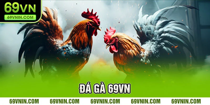 Lý do khiến trò chơi đá gà 69VN trở thành tâm điểm