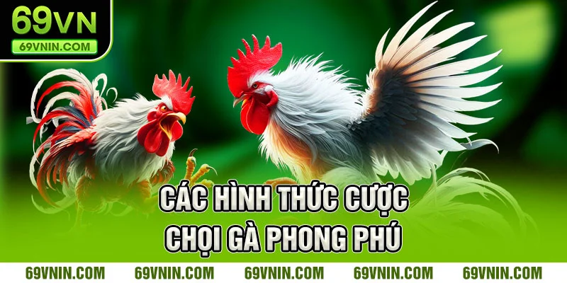 Các hình thức cược  đá gà phong phú